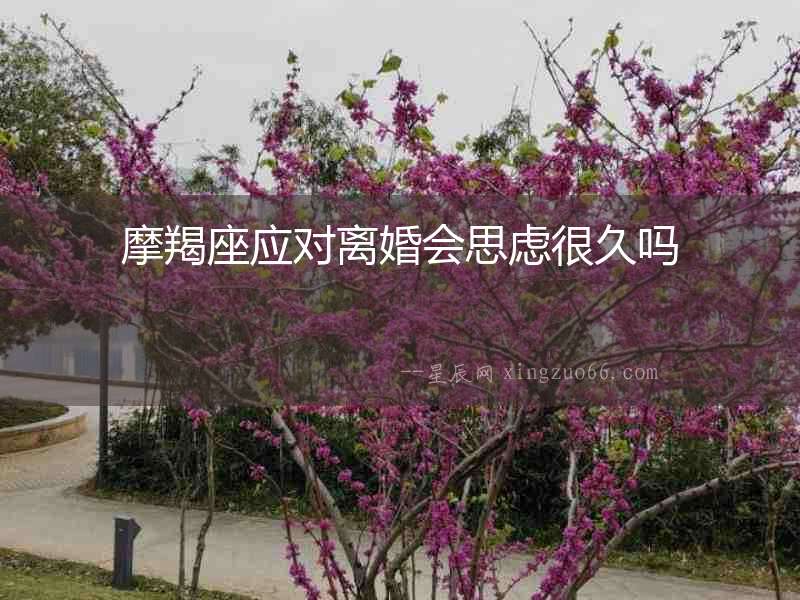 摩羯座應(yīng)對(duì)離婚會(huì)思慮很久嗎