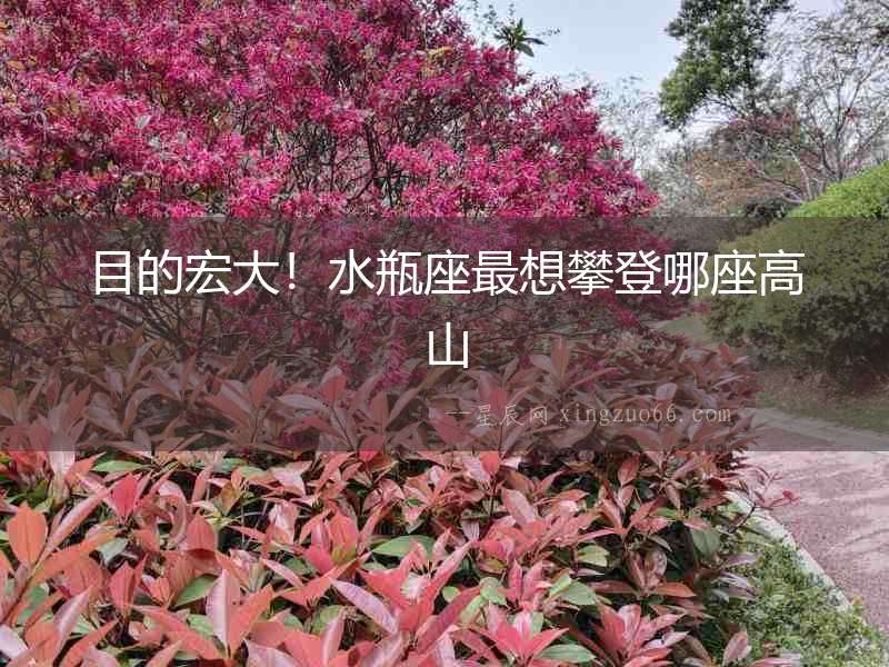 目的宏大！水瓶座最想攀登哪座高山