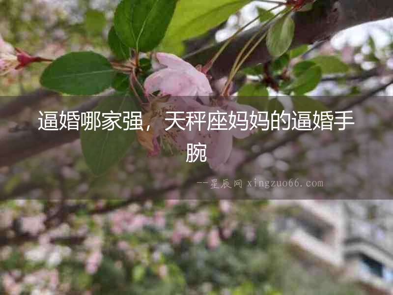 逼婚哪家強，天秤座媽媽的逼婚手腕