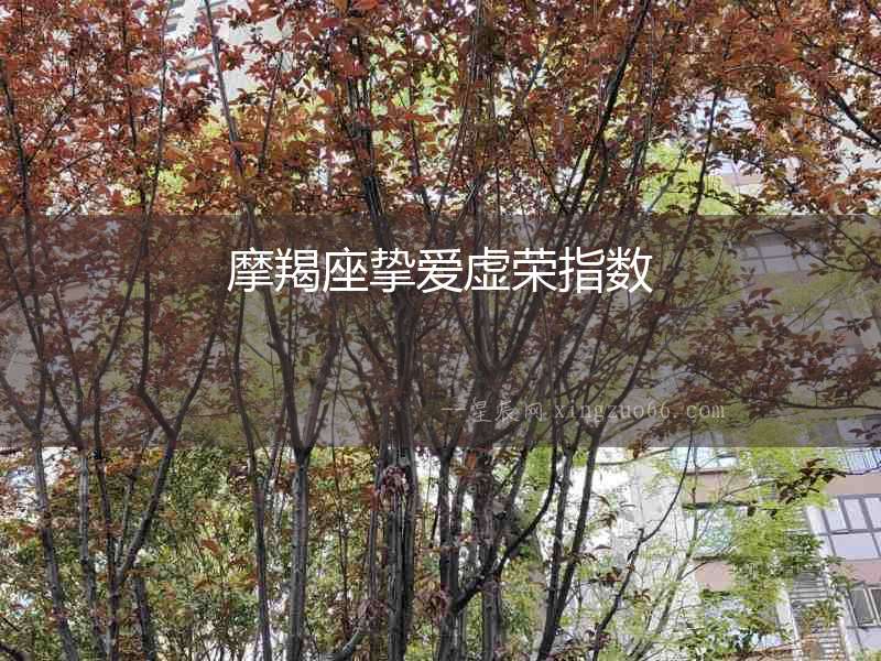 摩羯座摯愛虛榮指數
