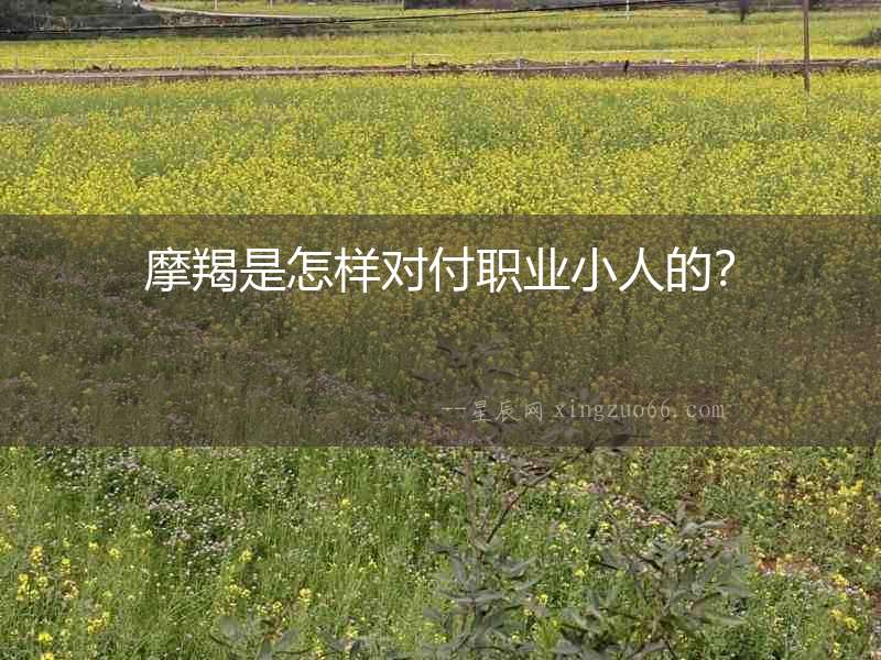摩羯是怎樣對(duì)付職業(yè)小人的？