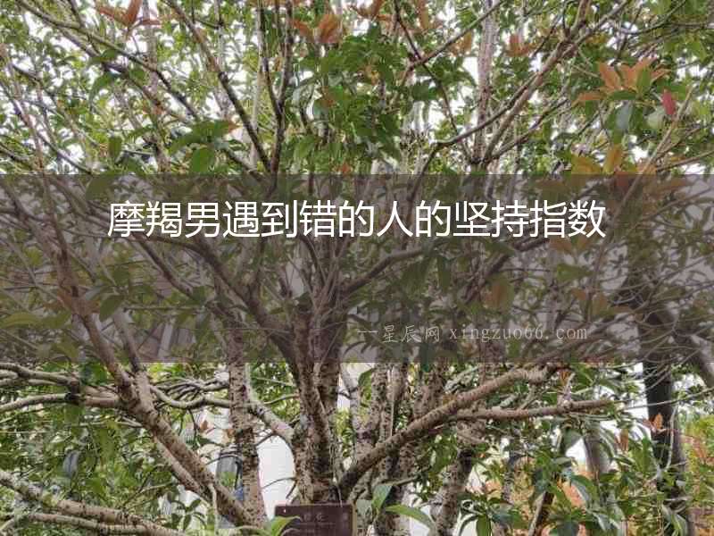 摩羯男遇到錯的人的堅持指數
