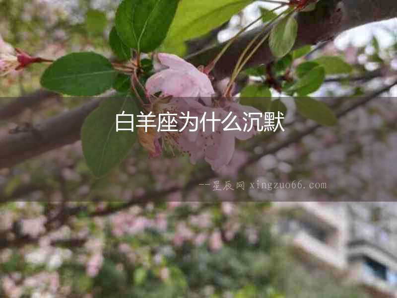 白羊座為什么沉默