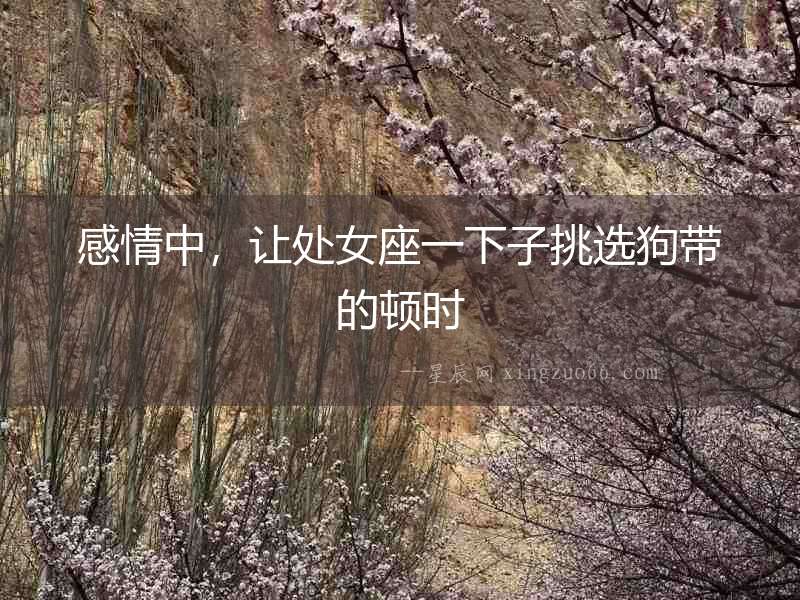 感情中，讓處女座一下子挑選狗帶的頓時