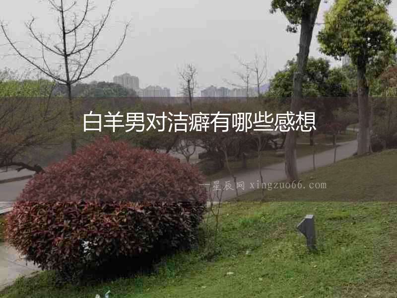白羊男對(duì)潔癖有哪些感想