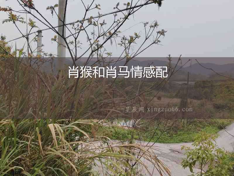 肖猴和肖馬情感配