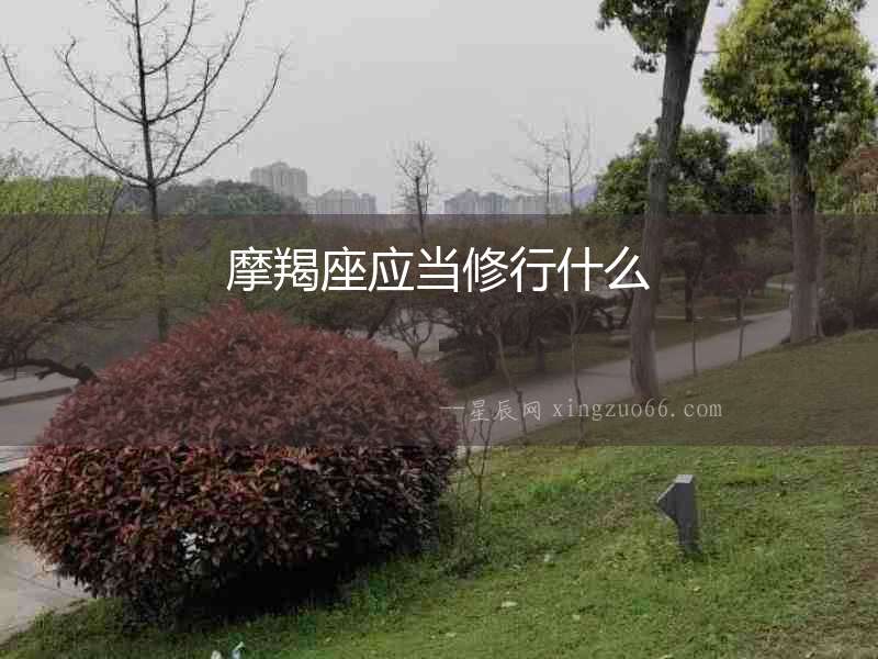 摩羯座應(yīng)當(dāng)修行什么