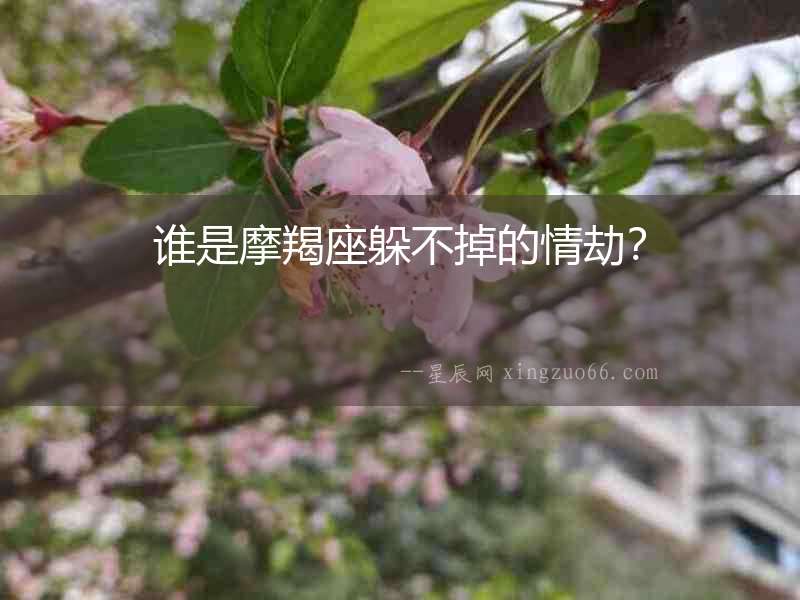 誰是摩羯座躲不掉的情劫？