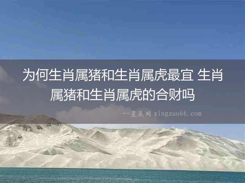 為何生肖屬豬和生肖屬虎最宜 生肖屬豬和生肖屬虎的合財(cái)嗎