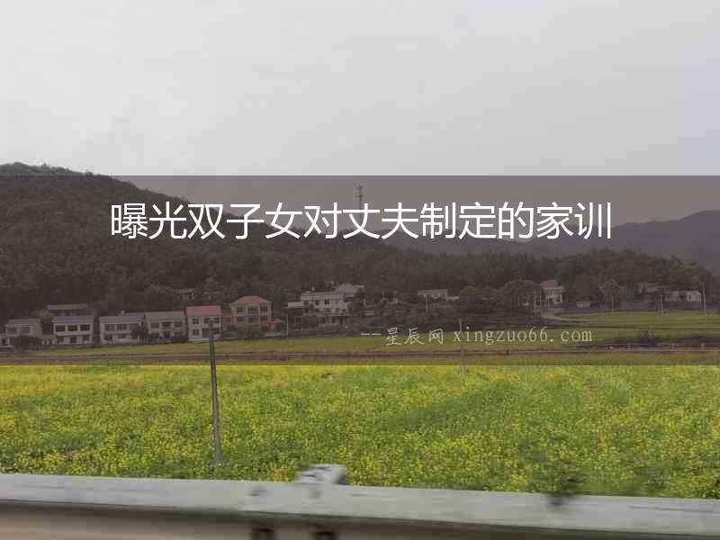 曝光雙子女對(duì)丈夫制定的家訓(xùn)