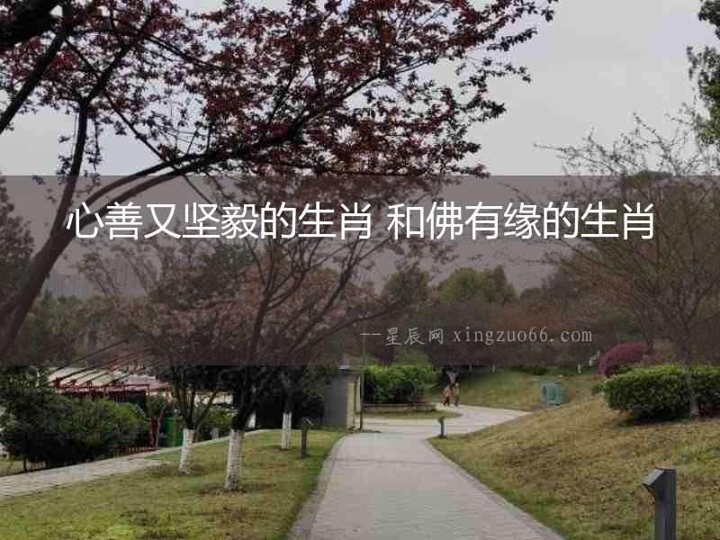 心善又堅毅的生肖 和佛有緣的生肖