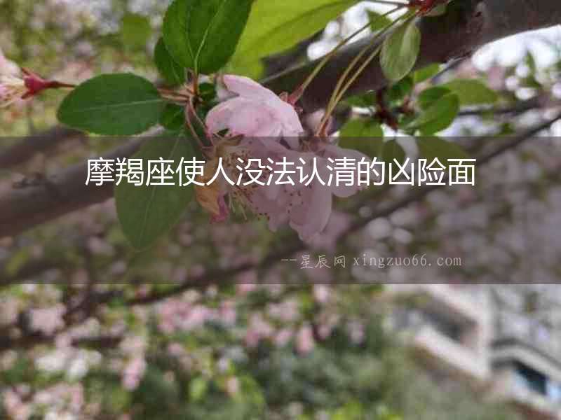 摩羯座使人沒法認清的兇險面