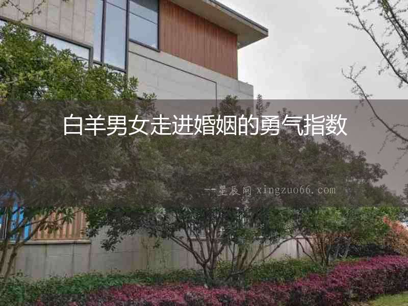 白羊男女走進(jìn)婚姻的勇氣指數(shù)