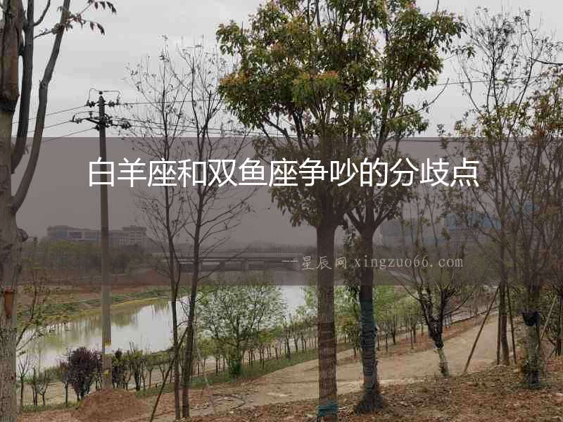 白羊座和雙魚座爭吵的分歧點