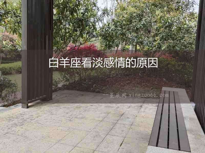 白羊座看淡感情的原因
