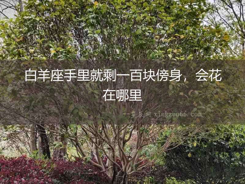 白羊座手里就剩一百塊傍身，會花在哪里