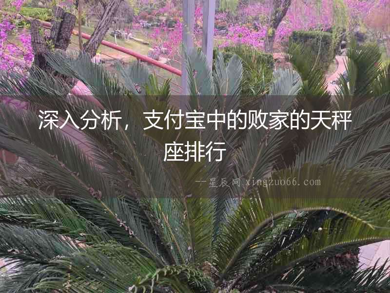 深入分析，支付寶中的敗家的天秤座排行