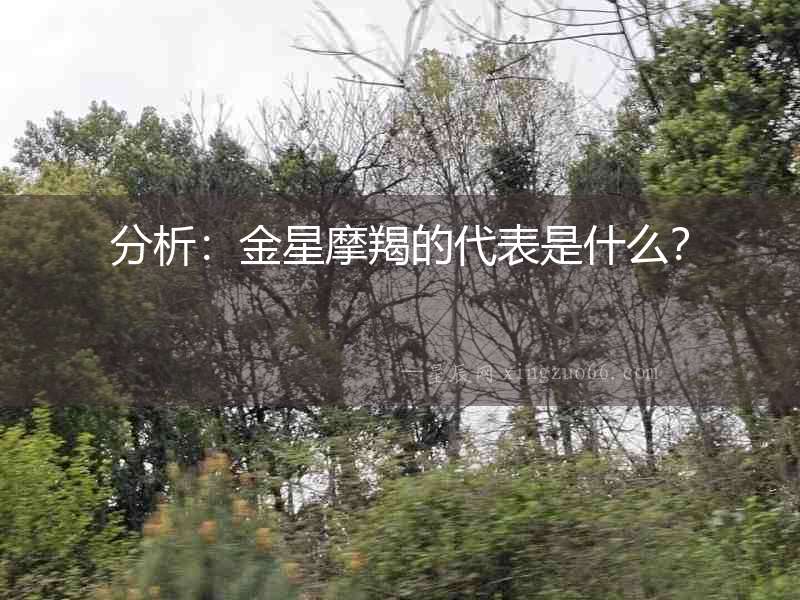 分析：金星摩羯的代表是什么？