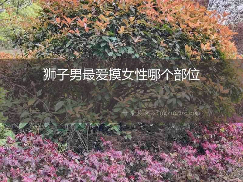 獅子男最?lèi)?ài)摸女性哪個(gè)部位