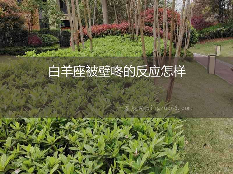 白羊座被壁咚的反應怎樣