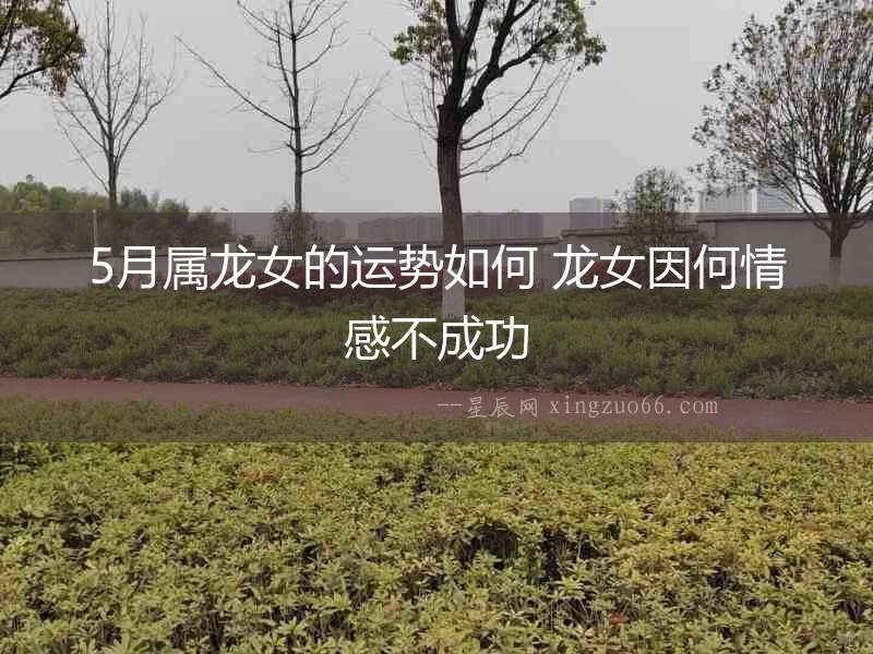 5月屬龍女的運(yùn)勢(shì)如何 龍女因何情感不成功