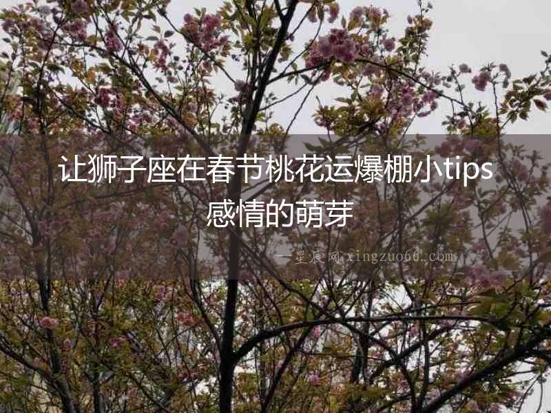 讓獅子座在春節(jié)桃花運爆棚小tips 感情的萌芽