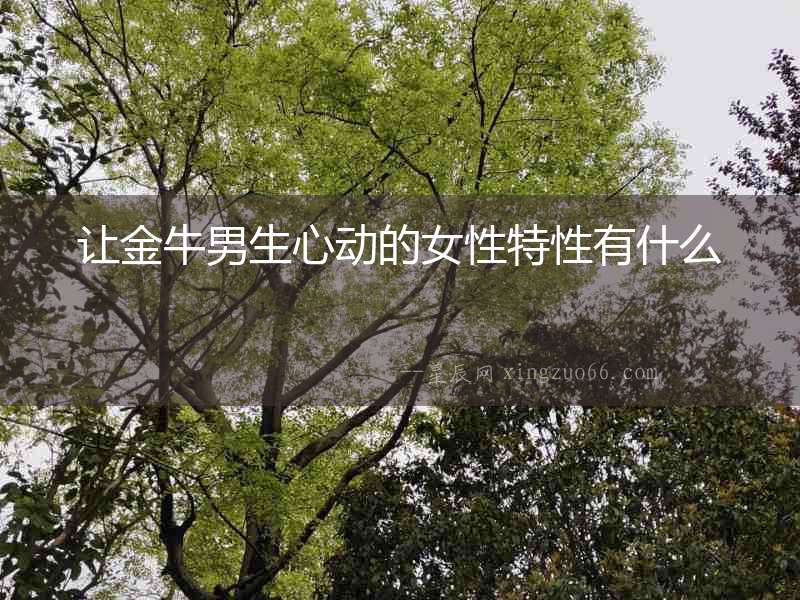 讓金牛男生心動的女性特性有什么