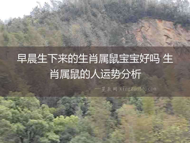 早晨生下來的生肖屬鼠寶寶好嗎 生肖屬鼠的人運勢分析