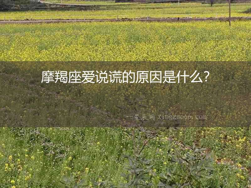 摩羯座愛(ài)說(shuō)謊的原因是什么？