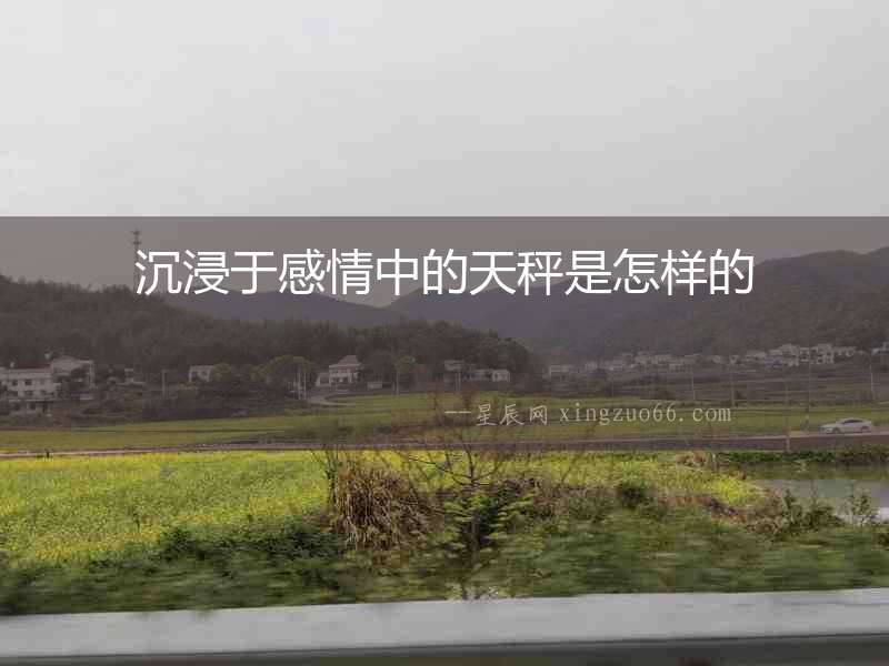 沉浸于感情中的天秤是怎樣的
