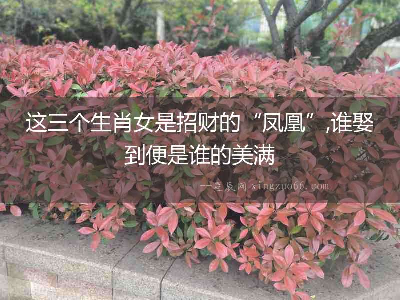 這三個(gè)生肖女是招財(cái)?shù)摹傍P凰”,誰娶到便是誰的美滿