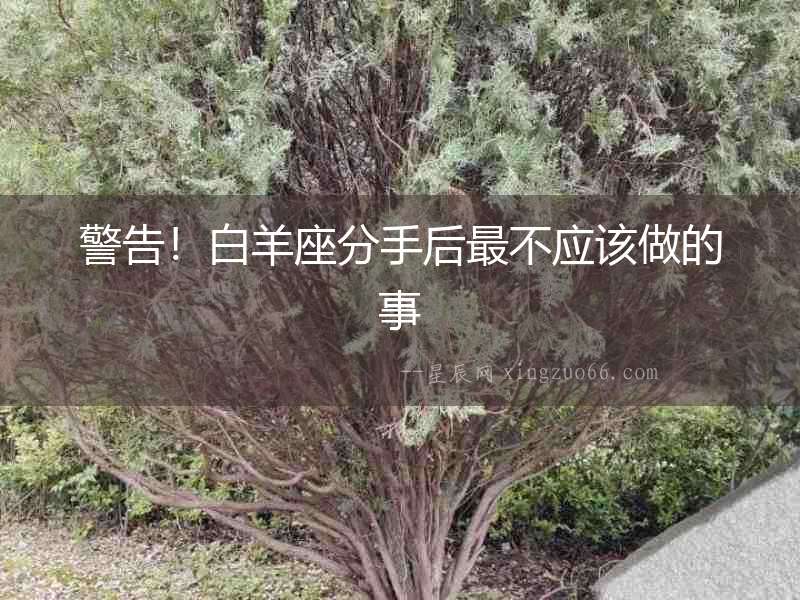 警告！白羊座分手后最不應該做的事