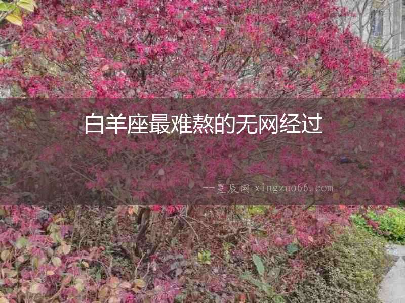 白羊座最難熬的無(wú)網(wǎng)經(jīng)過(guò)