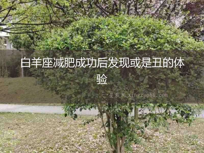 白羊座減肥成功后發(fā)現(xiàn)或是丑的體驗