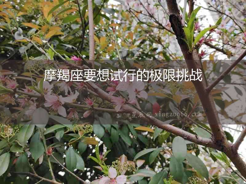 摩羯座要想試行的極限挑戰(zhàn)