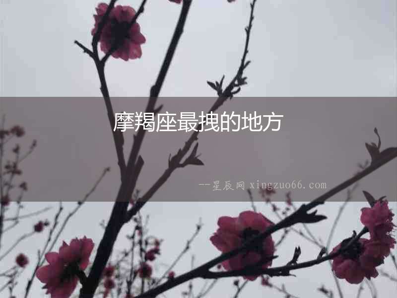 摩羯座最拽的地方