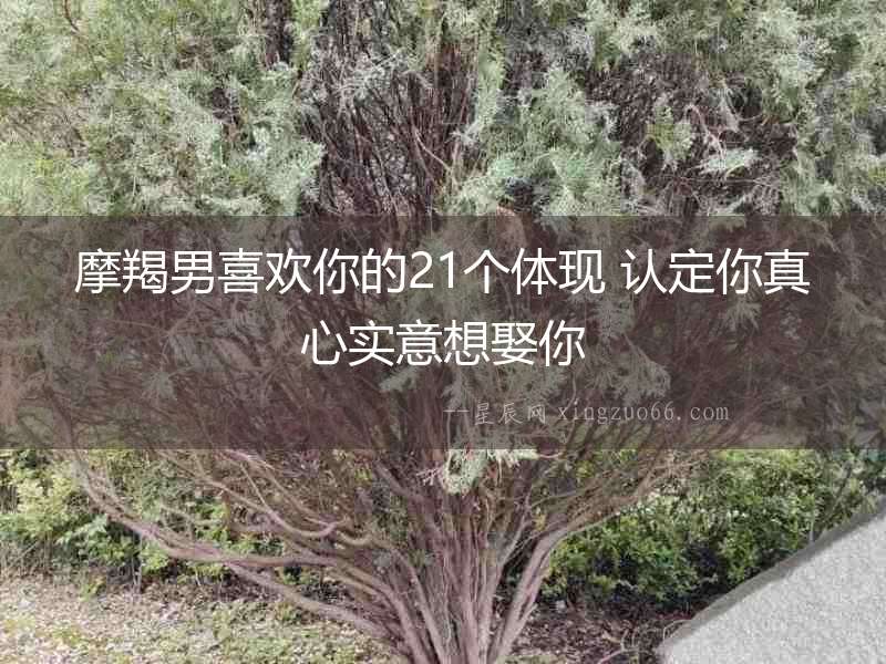 摩羯男喜歡你的21個(gè)體現(xiàn) 認(rèn)定你真心實(shí)意想娶你