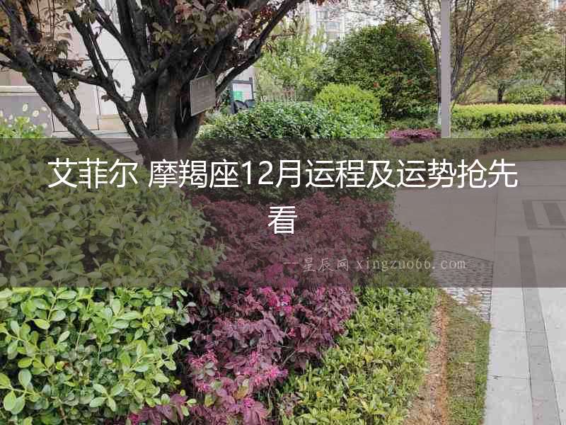 艾菲爾 摩羯座12月運程及運勢搶先看