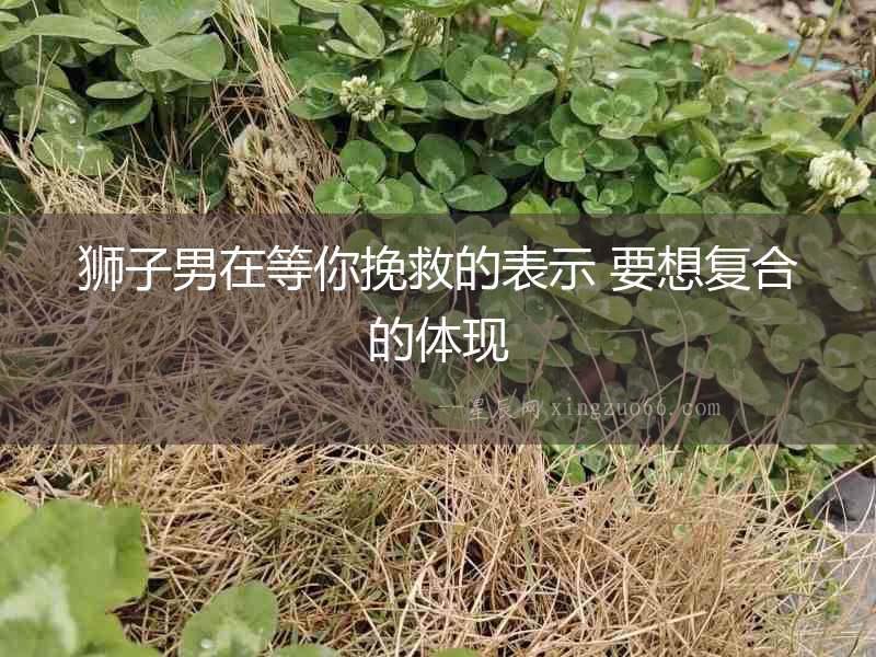 獅子男在等你挽救的表示 要想復合的體現
