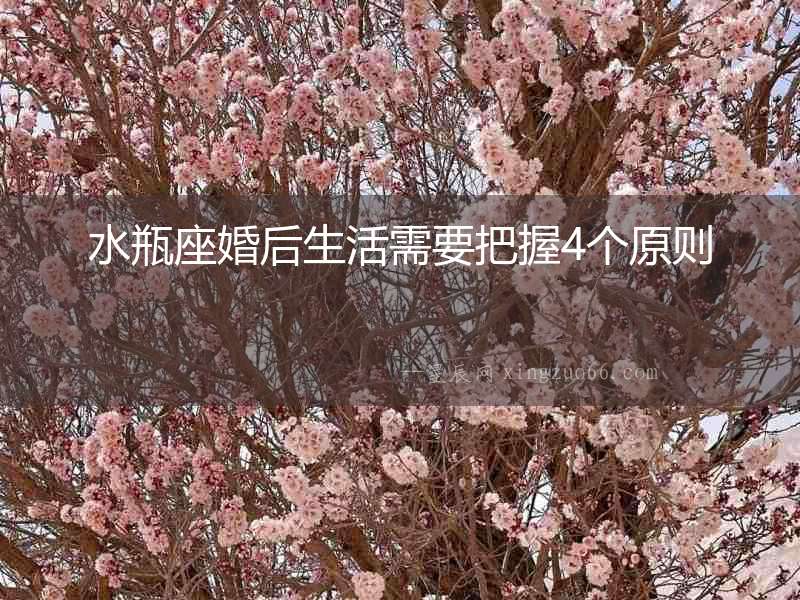 水瓶座婚后生活需要把握4個(gè)原則