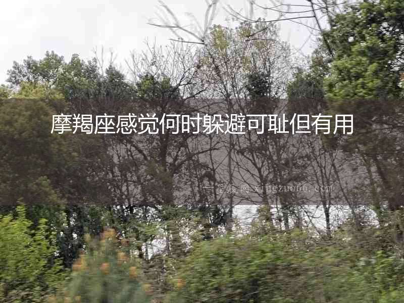 摩羯座感覺(jué)何時(shí)躲避可恥但有用