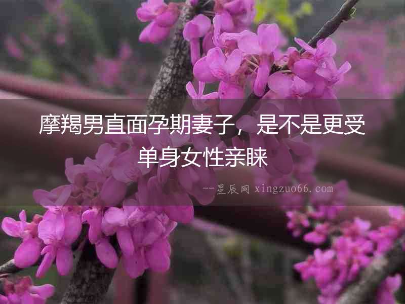 摩羯男直面孕期妻子，是不是更受單身女性親睞
