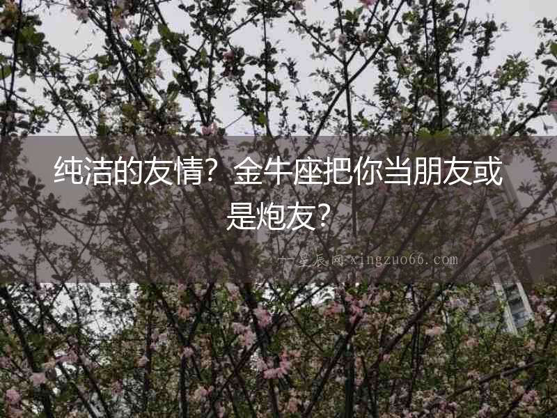 純潔的友情？金牛座把你當(dāng)朋友或是炮友？