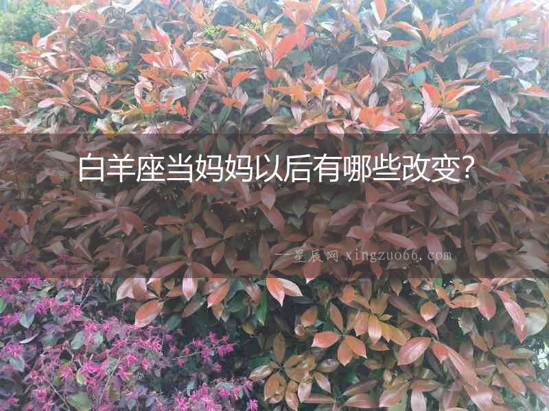 白羊座當(dāng)媽媽以后有哪些改變？