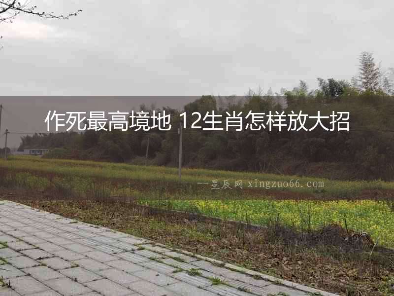 作死最高境地 12生肖怎樣放大招