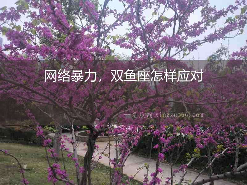 網(wǎng)絡(luò)暴力，雙魚座怎樣應(yīng)對