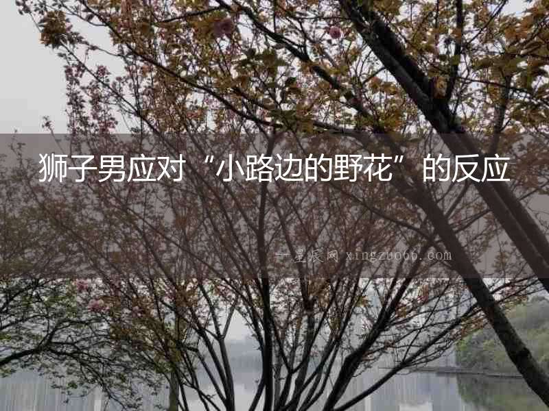 獅子男應(yīng)對(duì)“小路邊的野花”的反應(yīng)