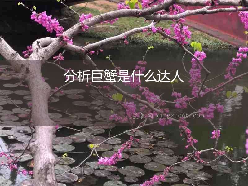 分析巨蟹是什么達人