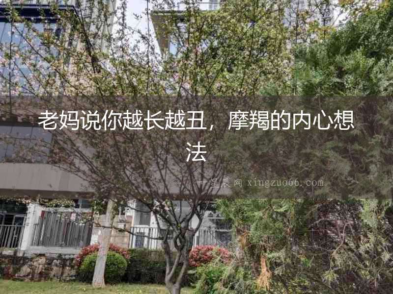 老媽說你越長越丑，摩羯的內心想法
