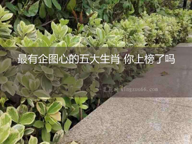 最有企圖心的五大生肖 你上榜了嗎